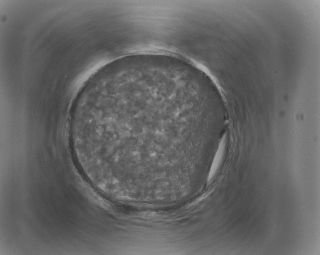 X0000080711463200701050957