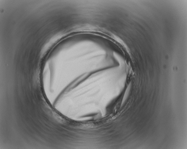 X0000080711464200701050957