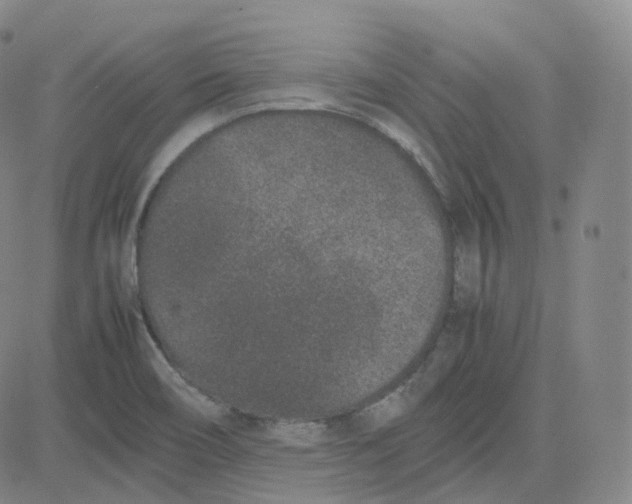 X0000080711466200701050957