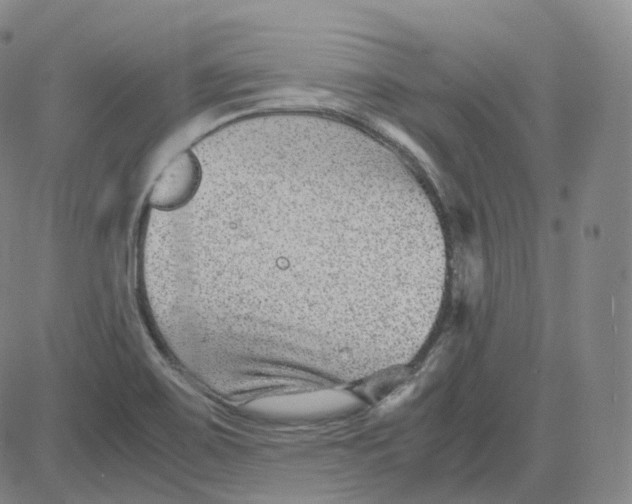 X0000080711467200701050957