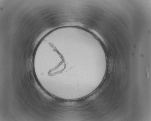 X0000080711468200701050957