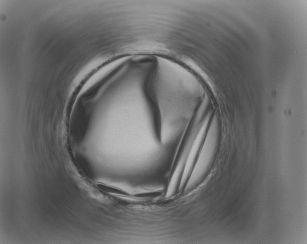 X0000080711469200701050957