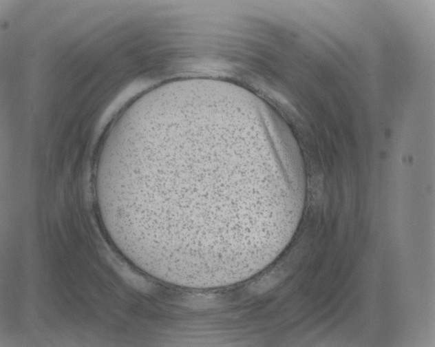 X0000080711470200701050957