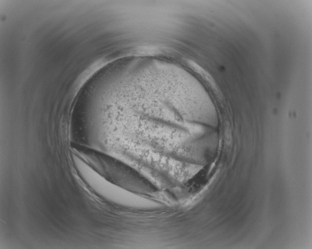 X0000080711473200701050957