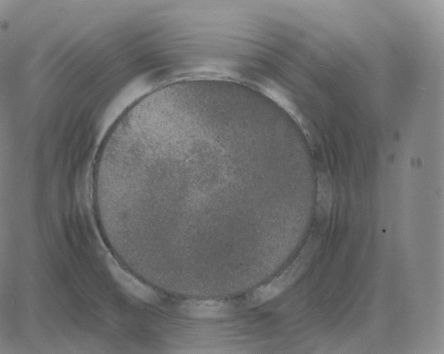 X0000080711474200701050957