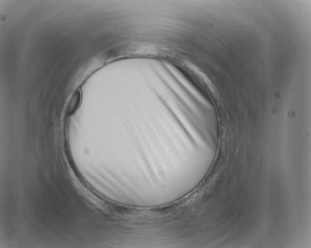 X0000080711475200701050957