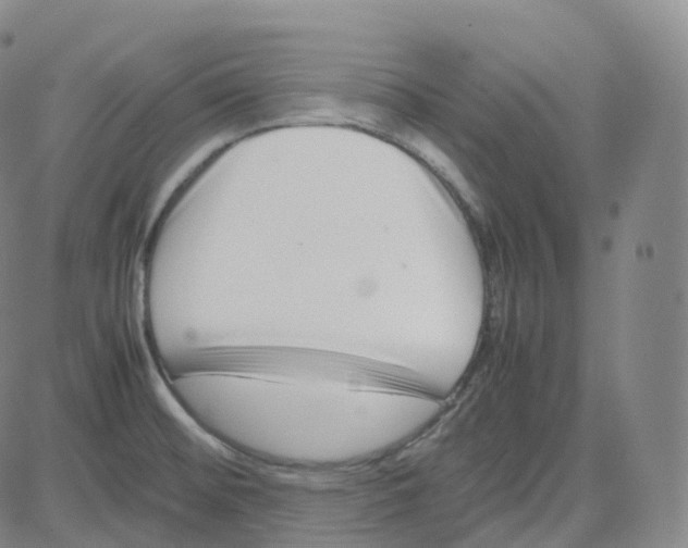 X0000080711476200701050957