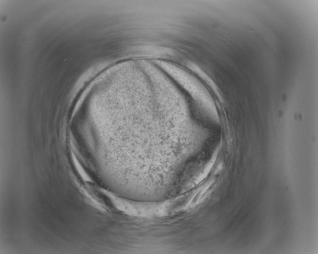 X0000080711477200701050957