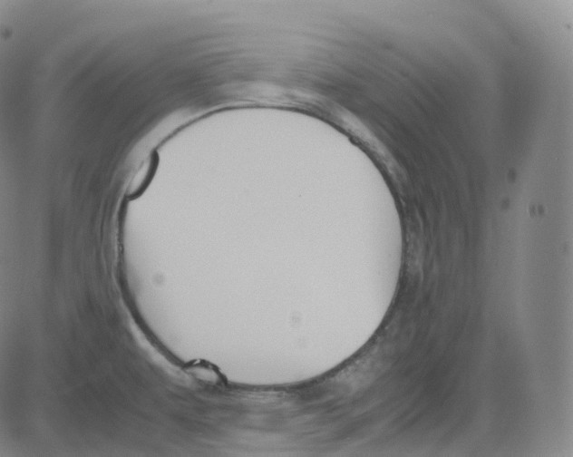 X0000080711479200701050957