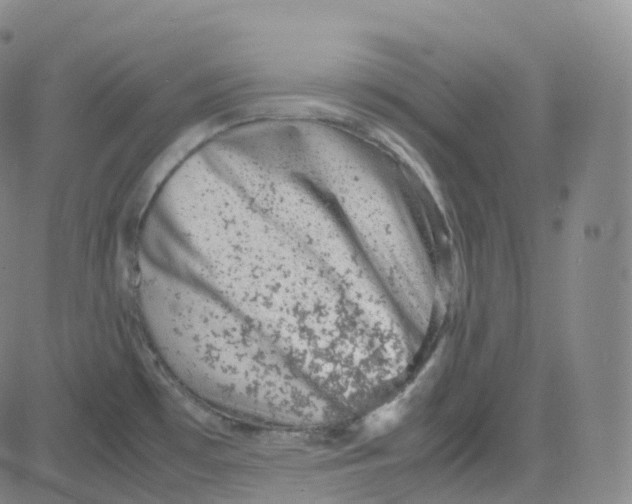 X0000080711481200701050957