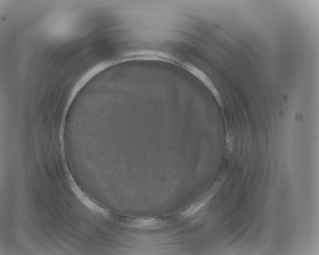 X0000080711482200701050957