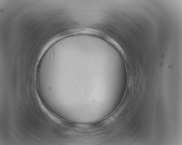 X0000080711483200701050957