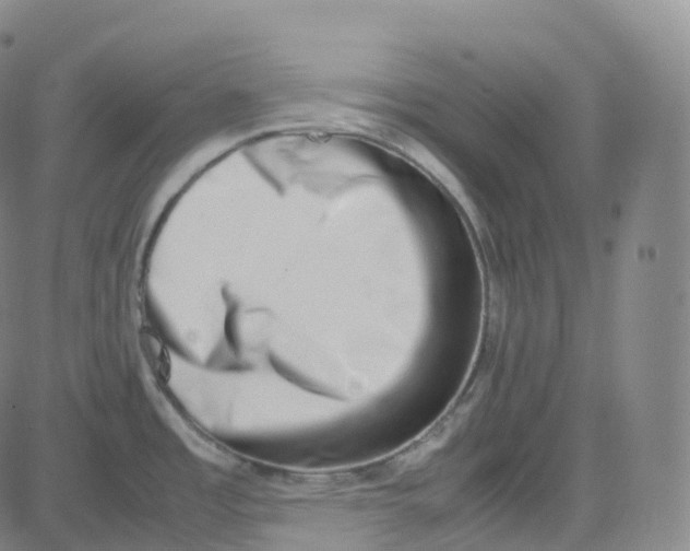 X0000080711485200701050957