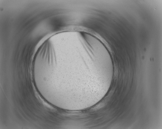 X0000080711486200701050957