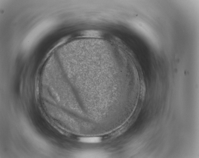 X0000080711487200701050957