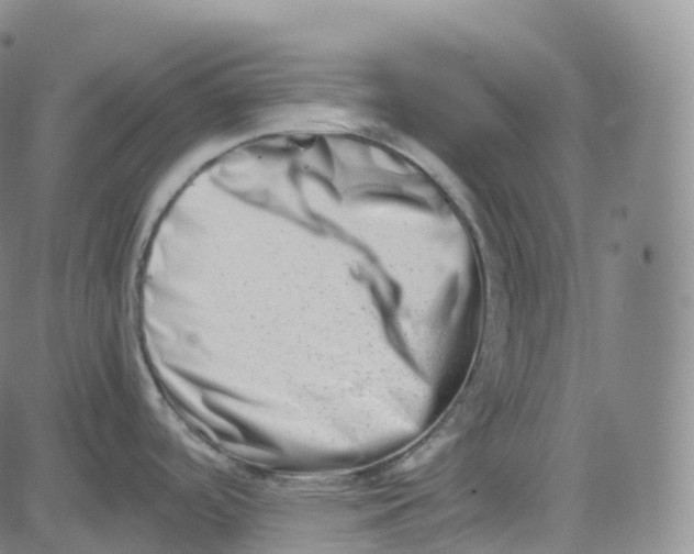 X0000080711488200701050957