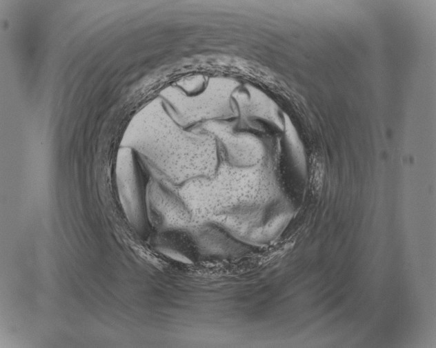 X0000080711489200701050956