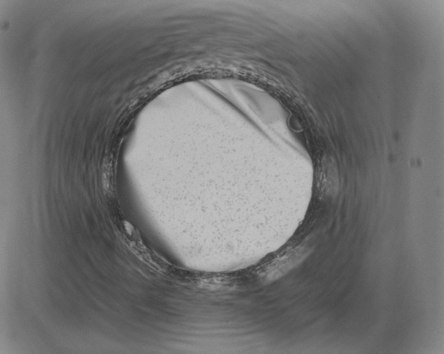 X0000080711490200701050956