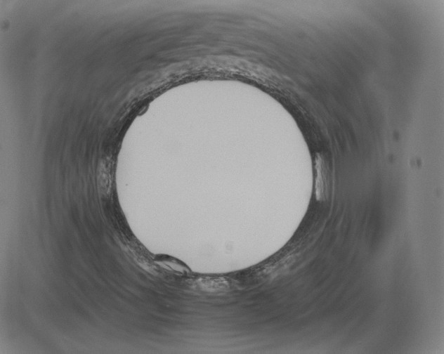 X0000080711491200701050956