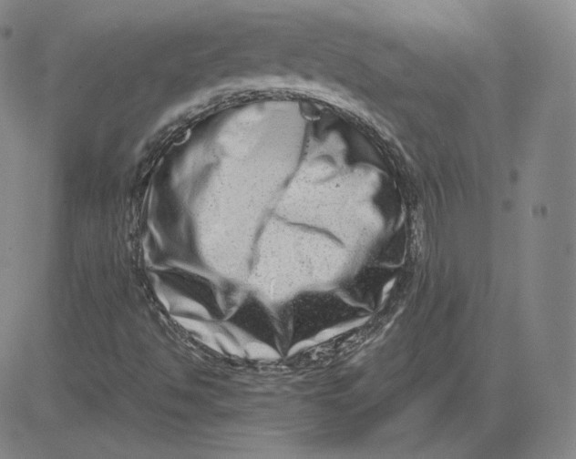 X0000080711494200701050956