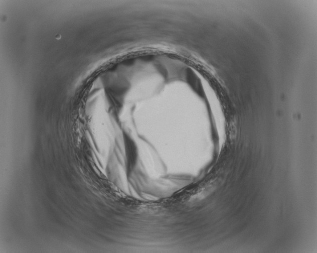 X0000080711496200701050956