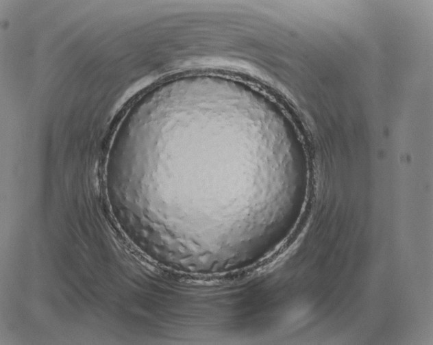 X0000080711497200701050956