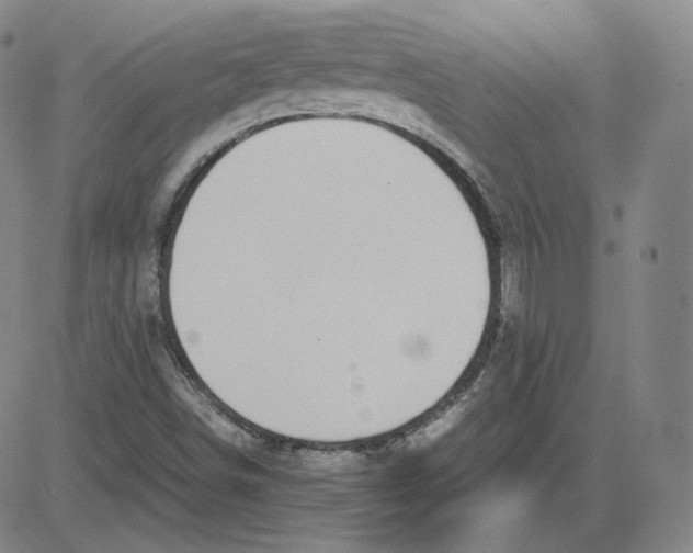 X0000080711498200701050956