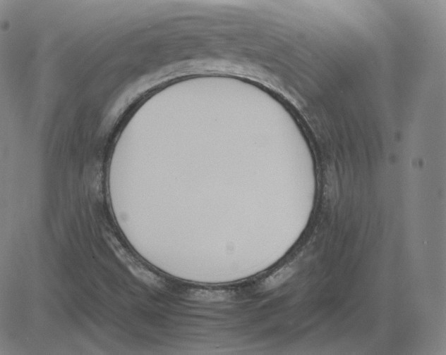 X0000080711499200701050956