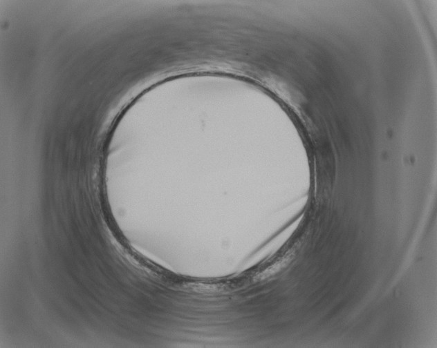 X0000080711500200701050956