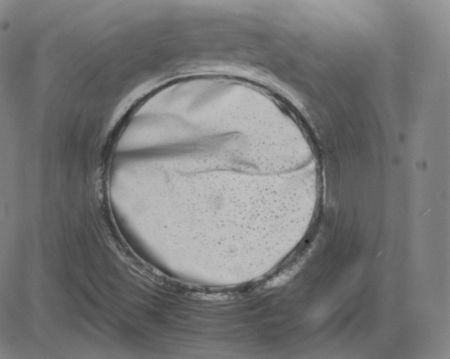 X0000080711501200701050956