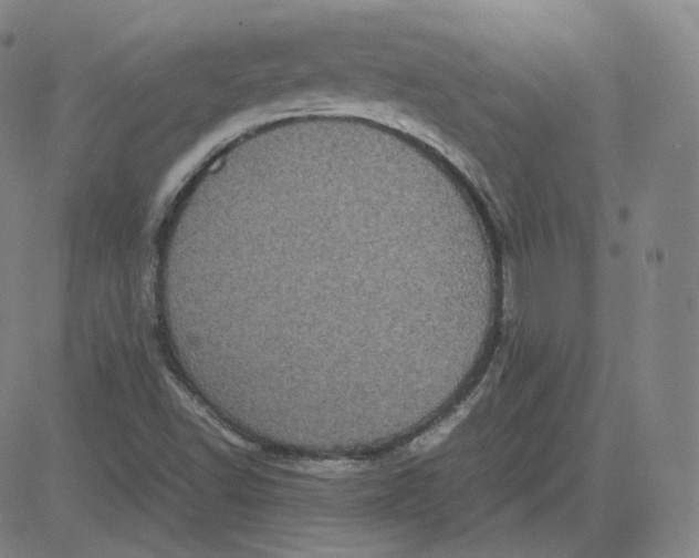 X0000080711502200701050956