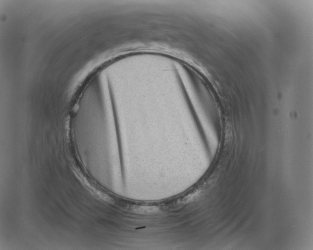 X0000080711503200701050956