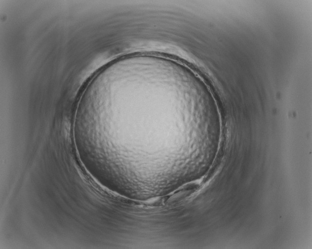 X0000080711505200701050956