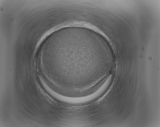 X0000080711506200701050956