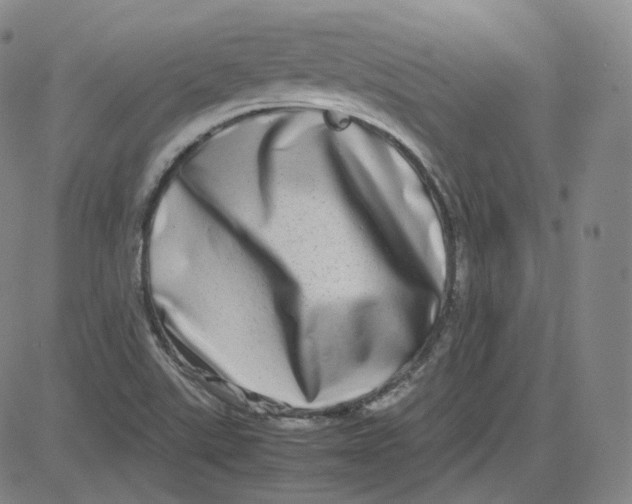 X0000080711507200701050956