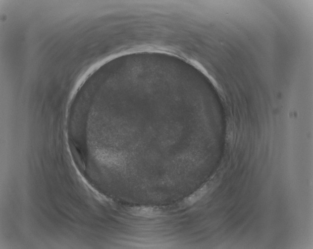 X0000080711508200701050956