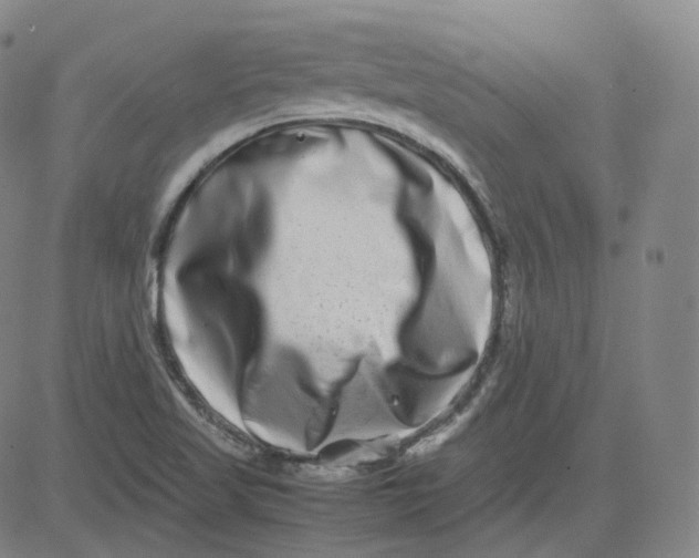 X0000080711509200701050956