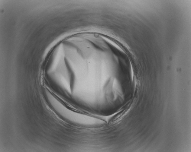 X0000080711510200701050956