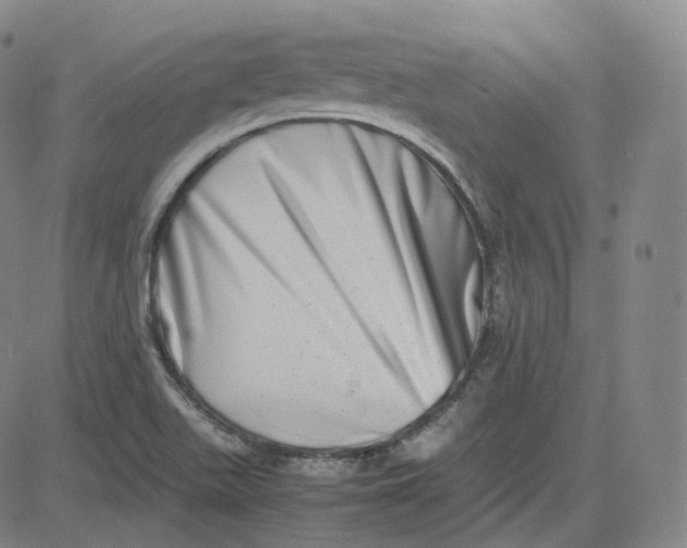 X0000080711511200701050956