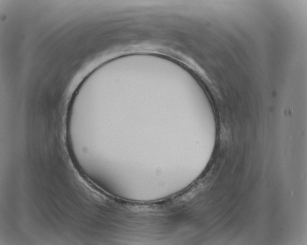 X0000080711512200701050956