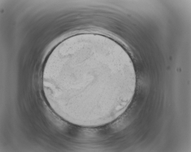 X0000080711514200701050956