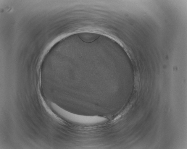 X0000080711515200701050956