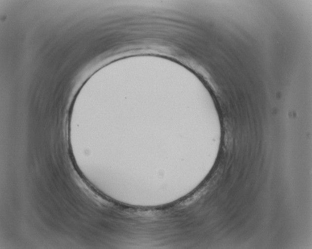 X0000080711516200701050956