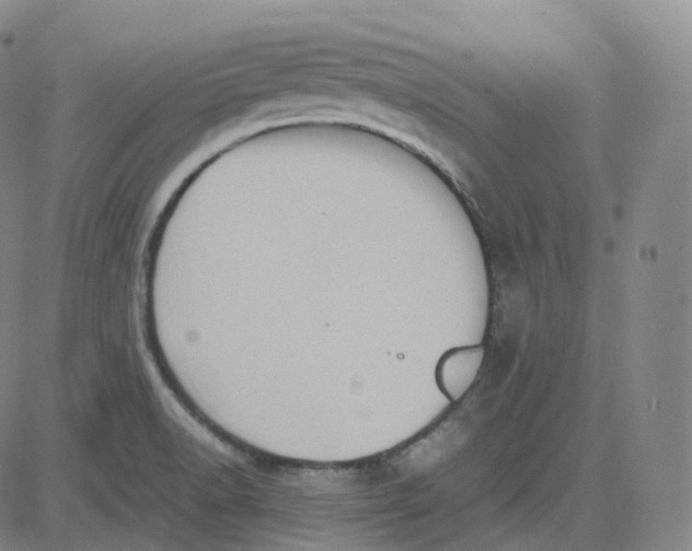 X0000080711518200701050957