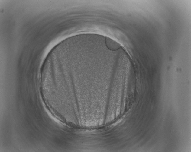 X0000080711519200701050957