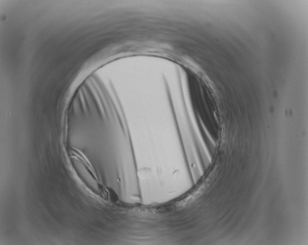 X0000080711520200701050957