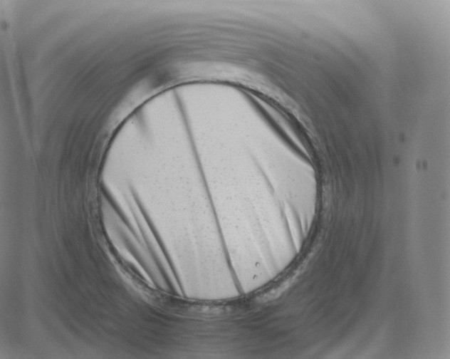 X0000080711521200701050957