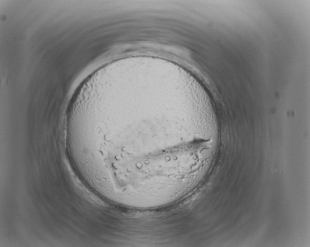 X0000080711522200701050957