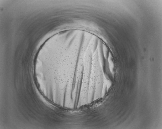 X0000080711523200701050957