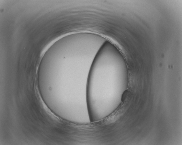 X0000080711524200701050957